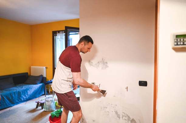 Best Insurance-Related Mold Remediation in Savanna, IL